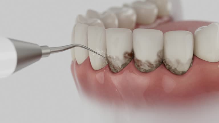 Reliable Dental contractor in Hollywood, FL by Dentist Open Now